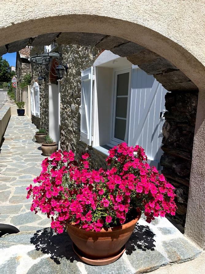 La Source 8 Ou 6 Couchages Villa Valle d'Alesani Eksteriør billede