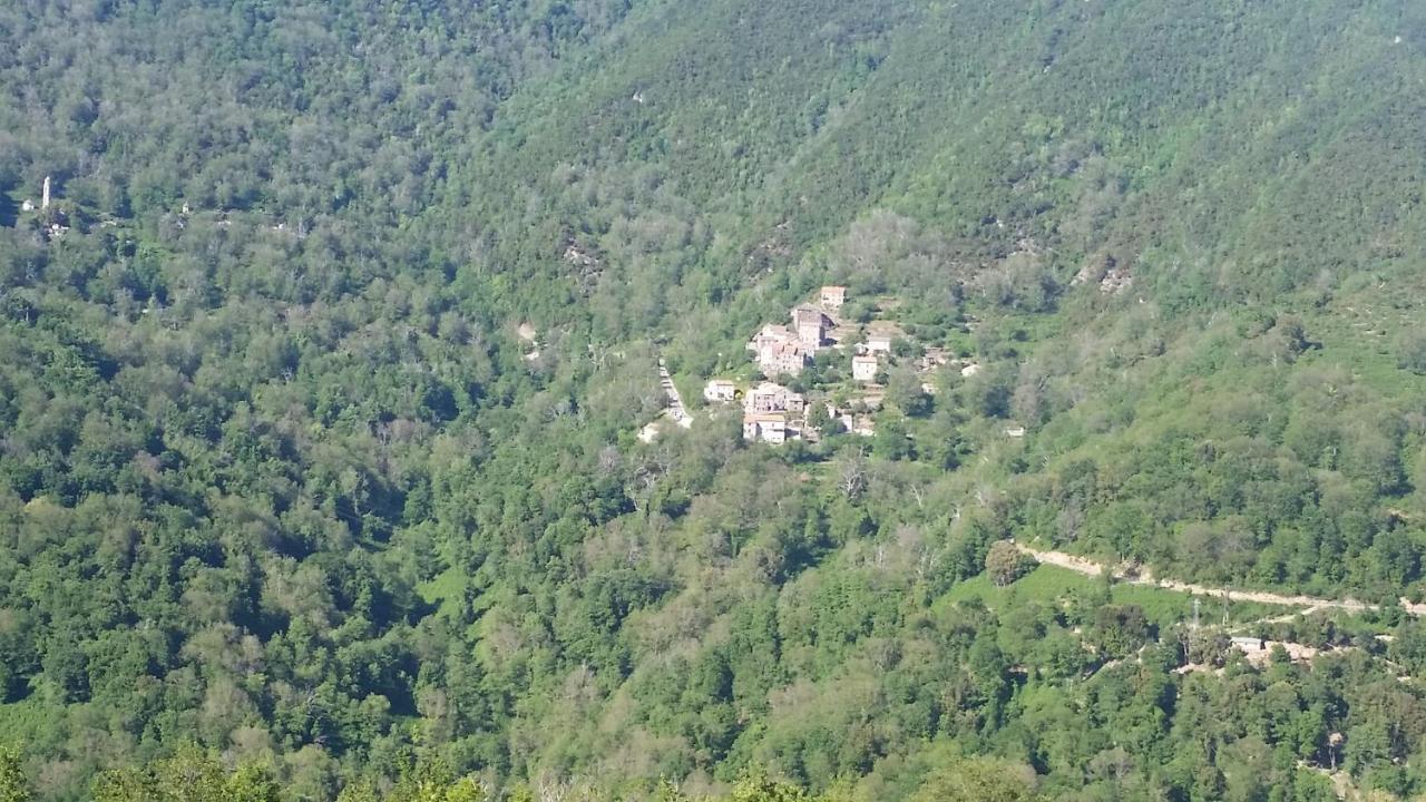 La Source 8 Ou 6 Couchages Villa Valle d'Alesani Eksteriør billede